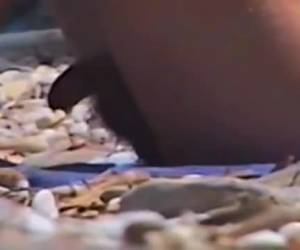 Gay voyeur filmler nefis çocuk Çıplaklar plajı Bu gay voyeur tüm alabilirsiniz Çıplaklar plajı ve filmler iyi bir çocuk tarafından onu evde mastürbasyon için heyecanlı. amatör, gay voyeur filmler nefis çocuk Çıplaklar plajı