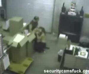 dieser herr hat nur schöne arbeit. er ist die sekretärin blowjob im lager. blasen auf der arbeit